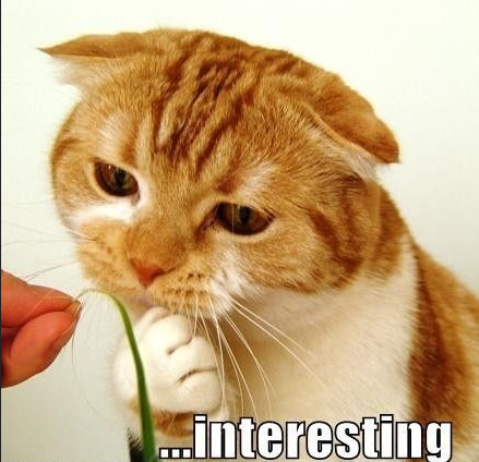 /images/posts/25.png